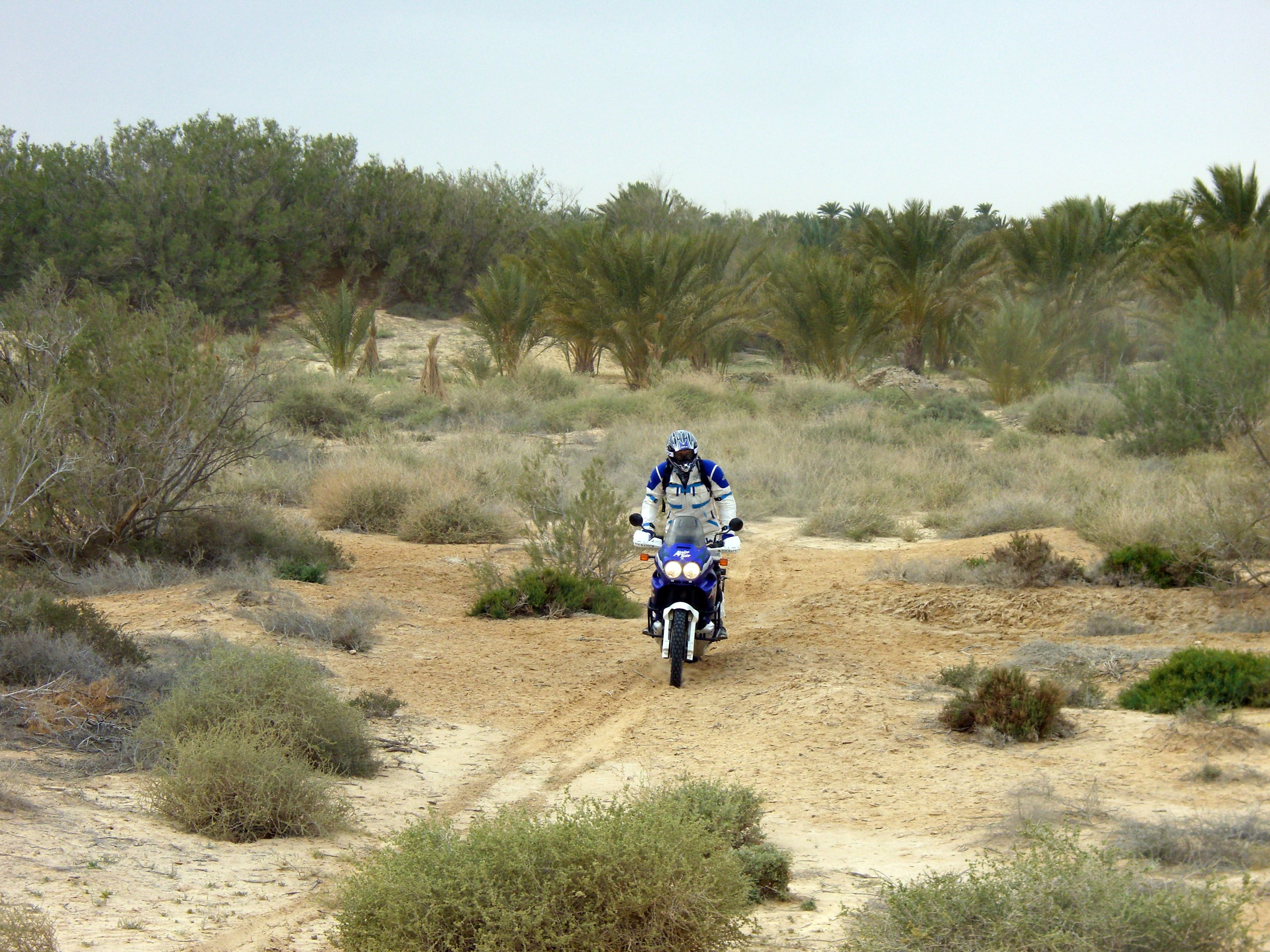 tunesien_adventurebikes 05