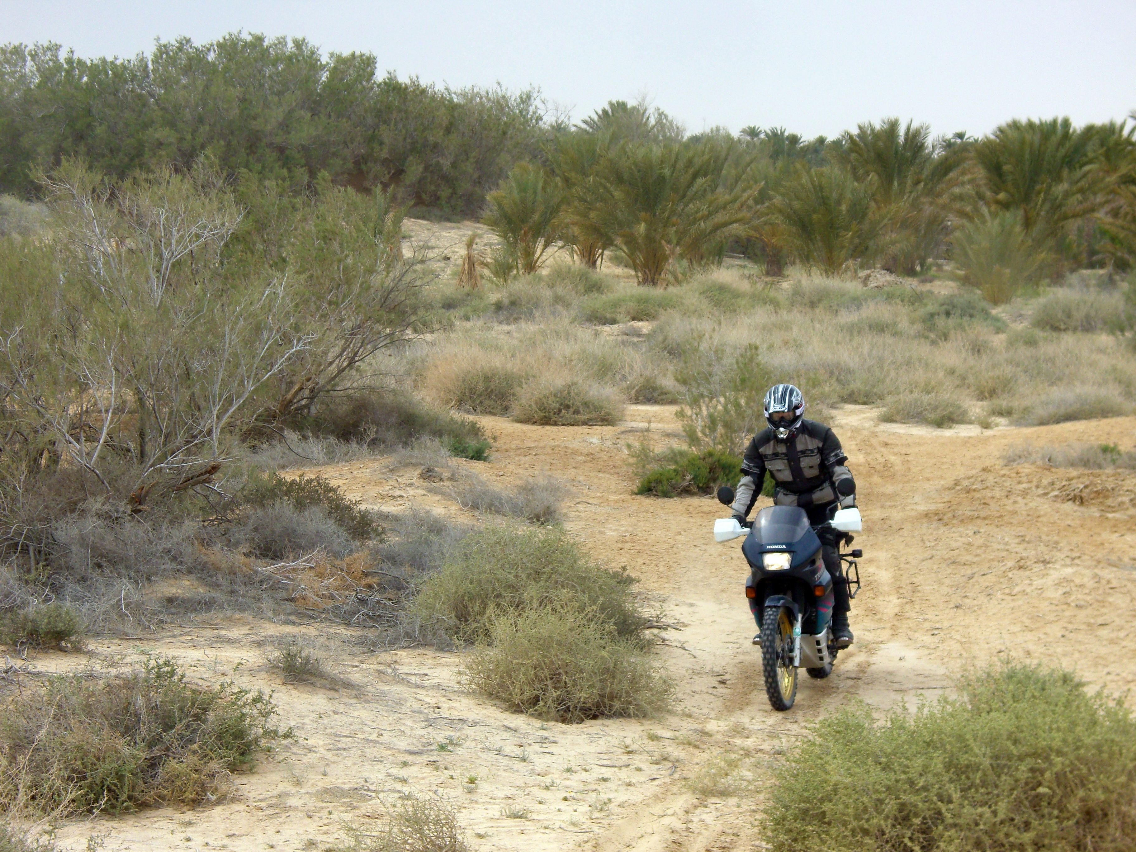 tunesien_adventurebikes 06