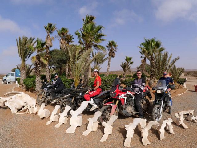 Bericht N  E U:  Marokko - "Große Rundfahrt",… lesen