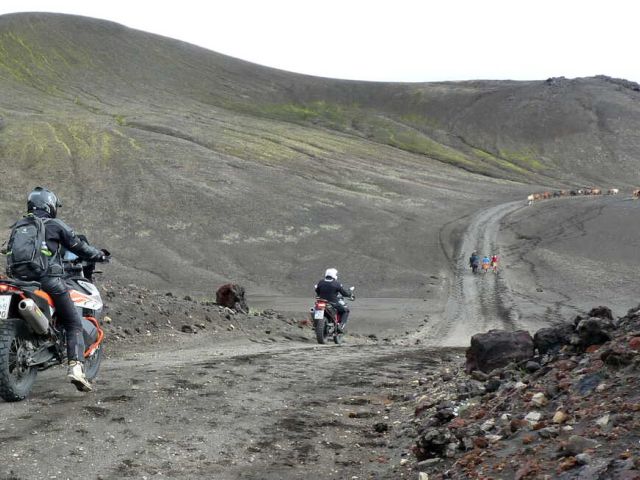 So war unsere Island-Reise im August 2020