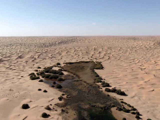 So war unsere Tunesien-Reise im November 2021